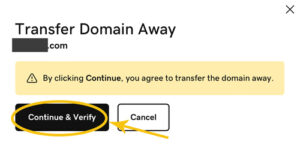 domain-transfer-17